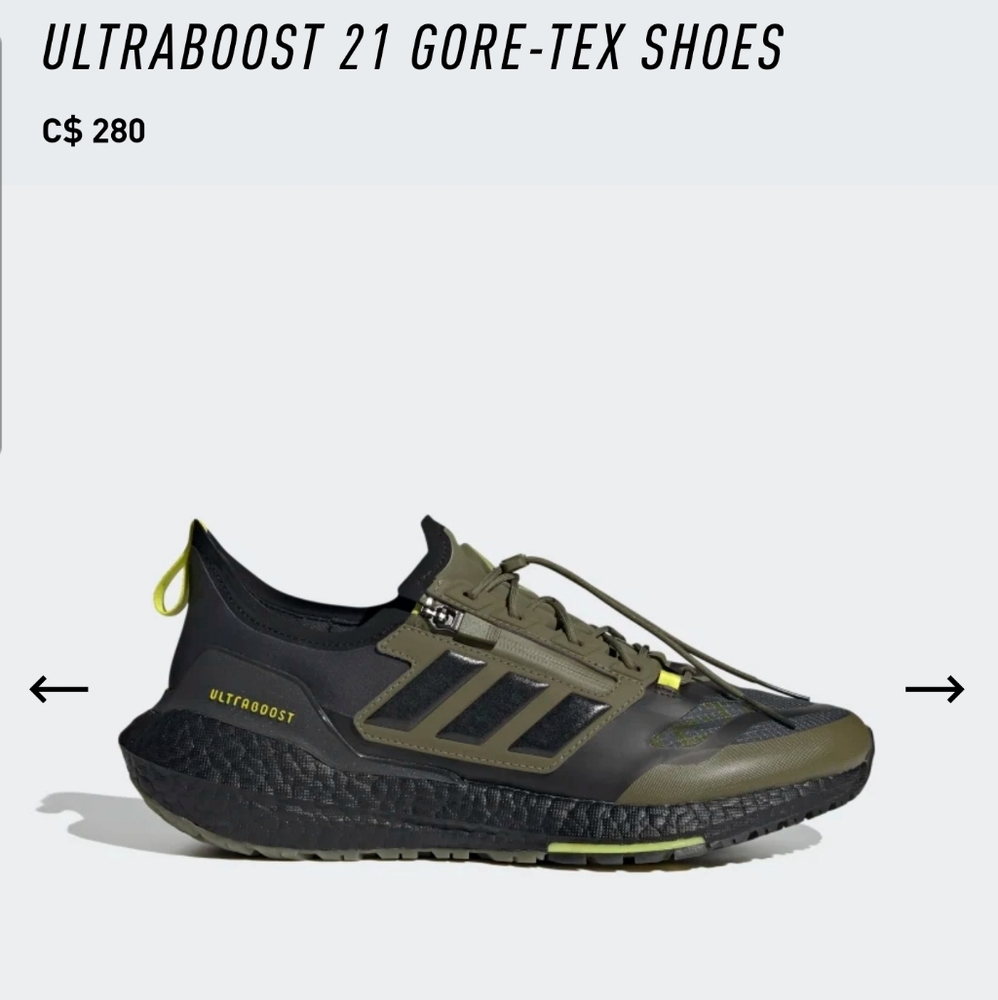 Adidas ULTRABOOST 21GORE-TEX SHOES